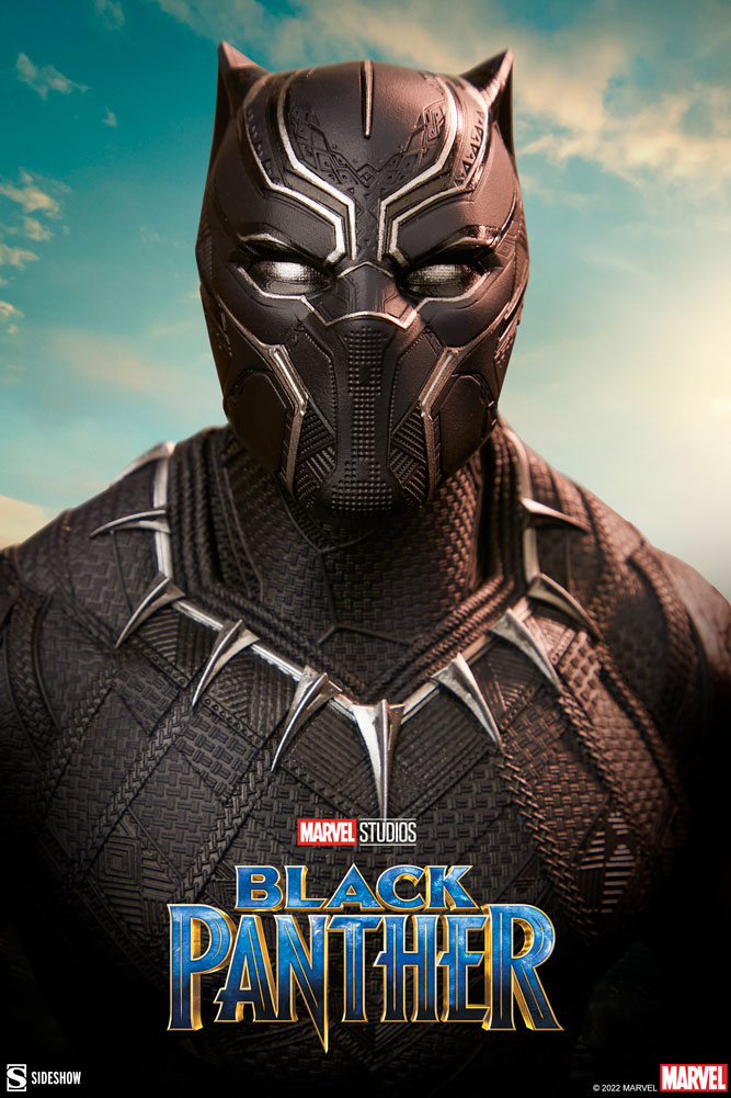 De meest bijzondere superheldenfilm - Black Panther