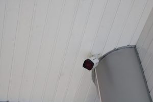 Photo flush mount lights